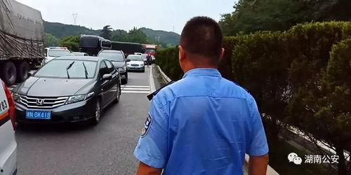 汝南一高爆料事件视频,真相与争议的交织